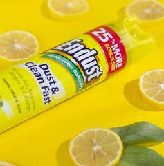 Endust Multi-Surface Dusting and Cleaning Spray, Lemon Zest, 12.5 Ounce 2 Pack
