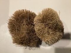 Natural Coconut Coir Fiber Brush Vegetable Scrub Brush handmade set of 2
