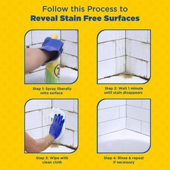 32 oz. Mold and Mildew Stain Remover (Case of 4)