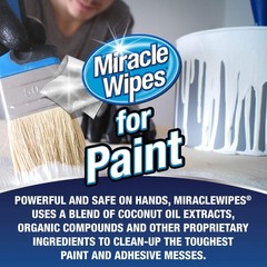 for Paint Prep & Cleanup, Remove Tough Grime Build-Up, Wet Paint, Caulking, E…