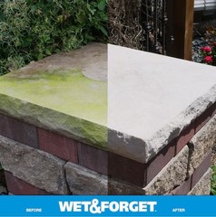 Wet & Forget Liquid Outdoor Surface Cleaner