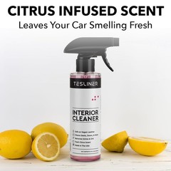 Tesla Seat Cleaner & Stain Remover – Interior Cleaner for Black & White Vegan…