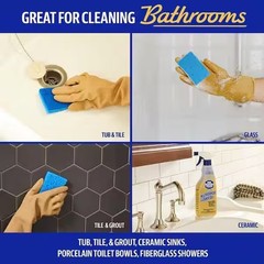 Bar Keepers Friend 25.4oz Spray & Foam Superior All-Purpose Cleaner Remove Stain