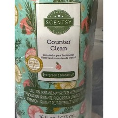 Scentsy Counter Clean Evergreen & Grapefruit Multi-Surface Spray 16 fl oz New