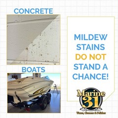 Marine 31 Mildew Stain Remover & Cleaner | Effective for Boats, Home, Patio, & B