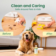All-Purpose Cleaner Concentrate | Multi-Surface Cleaner | Natural Lemon Essen…
