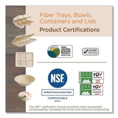 World Centric TRSC1418LF 18 x 14 x 1 PLA Lined PFAS-Free Fiber Tray (100/CT) New