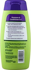 Lice Shield Shampoo & Conditioner in 1, Repels Lice and Super Lice, 10 fl oz