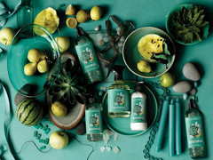 Caldrea Multi-Surface Countertop Spray Cleaner, Made with Vegetable Protein Extr