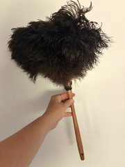 Feather Duster Cleaning Tool Ostrich Feathers Texas Feathers Vintage Wood