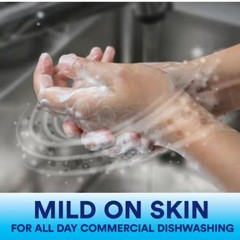 Dawn Professional Manual Pot and Pan Detergent – 1 Gal