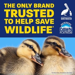 Dawn Platinum Dish Soap Liquid, Dishwashing Liquid, Grease Removal, Fresh Rain,