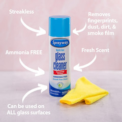 Sprayway Glass Cleaner Foaming Aerosol Spray 19oz 2 Pack Streak Free Shine