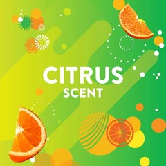 8-Pack Flushable Pack 1 Heavy-Duty Toilet Wand Refills Fresh Brush