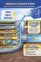BioOne Drain & Septic System Maintainer Liquid 64 oz | Enzyme Treatment