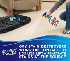 Woolite INSTA CLEAN Carpet Upholstery Rug PET STAIN Odor OXY Destroyer