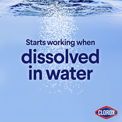 Clorox Concentrated Bleach Powder – 21.1 Oz.