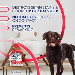 Pet Specialist Stain & Odor Remover Spray – Pet Stain and Odor Remover, Carpe…