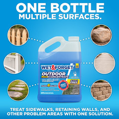 2 Pack Wet & Forget Outdoor Cleaner Concentrate 1 Gallon Moss Mold Mildew