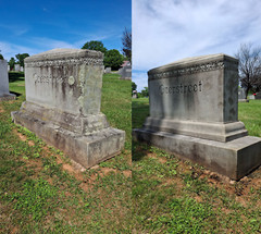 Endurance Gravestone & Monument Cleaner – 6 Quart Case (Spray Bottles)