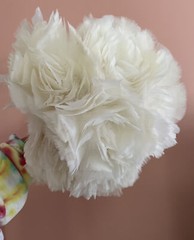 Anti Static Duster Lot Cleaner Plastic Handle Turkey Feather Home Cleaning X6