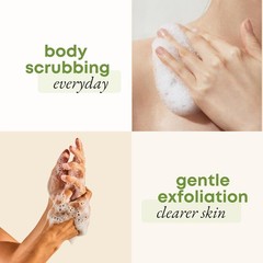 Natural Loofah Exfoliating Body Scrubber (Pack 10), Loofah Bath Sponge, Luffa…