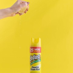 Multi Surface Dusting Cleaning Spray Lemon Scent 12.5oz 2 Pack