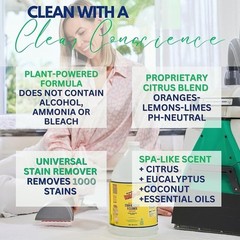 Eco-Friendly Stain Remover Fabric Carpet Upholstery Versatile & Powerful Clean