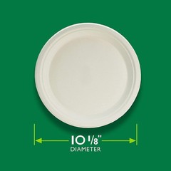 Hefty EcoSave Disposable Plates, Made from Plant Based Materials, Heavy Duty P
