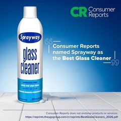 Glass Cleaner with Foaming Spray for a Streak-Free Shine for Home and Automot…