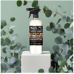 Citrus Mint & Eucalyptus Cleaners, 32oz | Pack of 4 Bottles