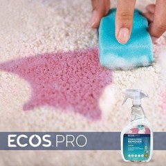 PRO PL9707/6 Stain and Odor Remover (Pack of 6)