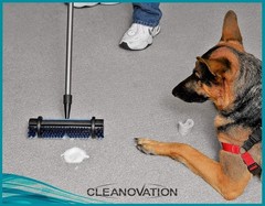 Ergonomic 2-in-1 Carpet Scrubber with Long Handle & Stain-Removing Shampoo