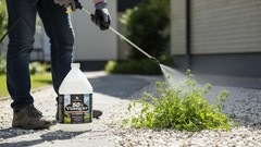 50% Pure Concentrated Vinegar – 125x Stronger Cleaner for Indoor & Outdoor Use (