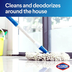 Clorox Concentrated Bleach Powder – 21.1 Oz.