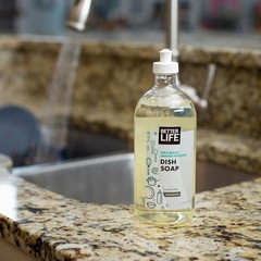 Better Life Dishwashing Soap, for Sensitive Skin 22Oz – Unscented