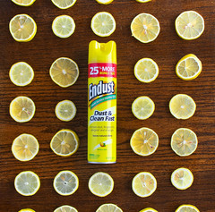 Endust Multi-Surface Dusting and Cleaning Spray, Lemon Zest, 12.5 Ounce (Pack of
