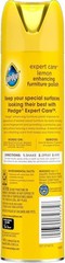 Expert Care Wood Polish Spray, Shines and Protects, Removes Fingerprints,