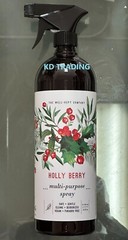 THE WELL-KEPT COMPANY ~ HOLLY BERRY Kitchen Cleaner & Refresher Odor Eliminator