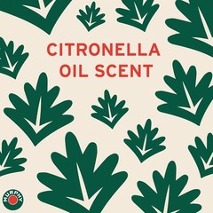 Concentrated Wood Cleaner with Citronella Oil Scent – 32 fl oz Bottles, 3 Pack