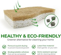 Paquete De 12 Cepillo De Bambú Para Esponja De Cocina Natural Biodegradable NEW.