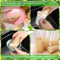15.7-19.7 inches Natural Loofah Sponges Pack of 4 for Kitchen Dishes Body