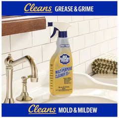 25.4 oz. More Spray and Foam All-Purpose Cleaner