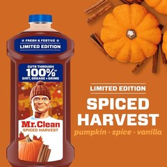 Limited Edition, Mr. Clean Spiced Harvest All-Purpose Cleaner, 41oz