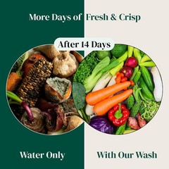 Fruit and Vegetable Wash Powder – Produce Cleaner – Removes Dirt & Residue – …