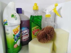 Bio clean Toilet Bowl Floor Dish Wash Liquid Cleaner items spray Sponge Brush