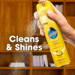Expert Care Wood Polish Spray, Shines and Protects, Removes Fingerprints,