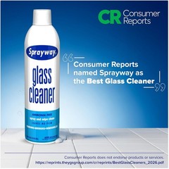 Fast-Acting Foam Spray Glass Cleaner, 19 oz, 12 pk