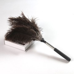 Extendable Feather Duster Fluffy Long Handle Reusable Feather Duster