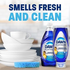 Platinum Ez-Squeeze Dish Soap, Dishwashing Liquid, Fresh Rain, 2X18Oz Bundle